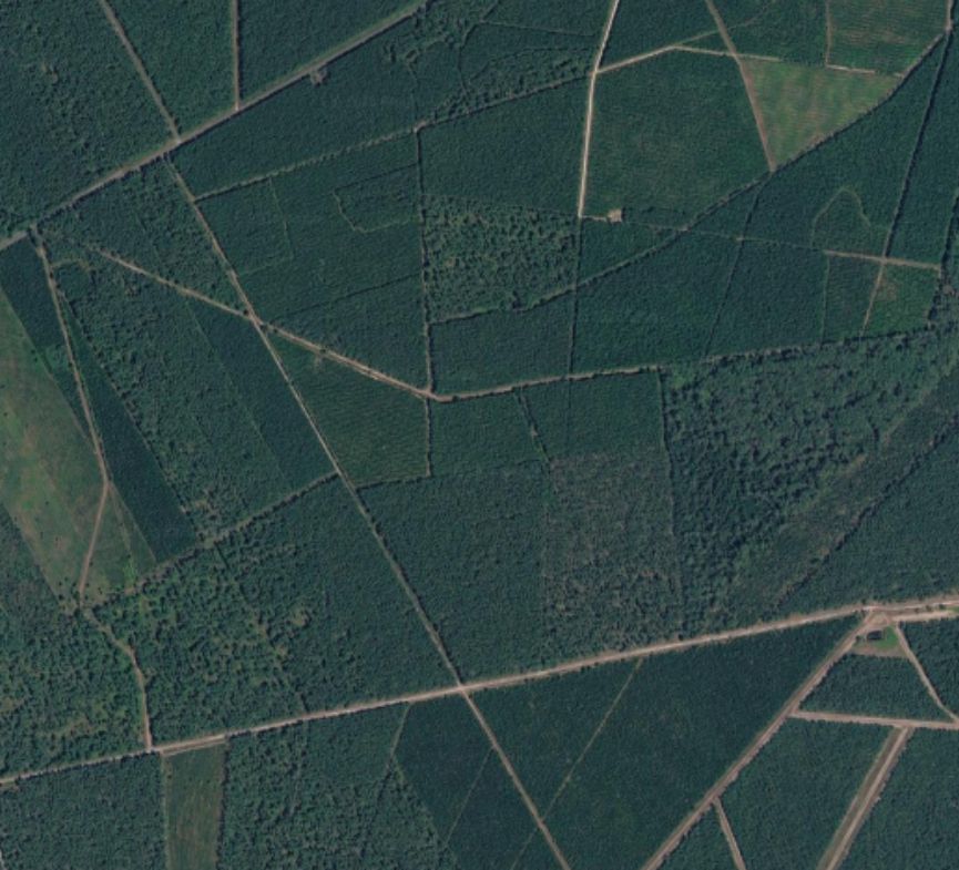 Before Wildland fire Saumon, France.jpg