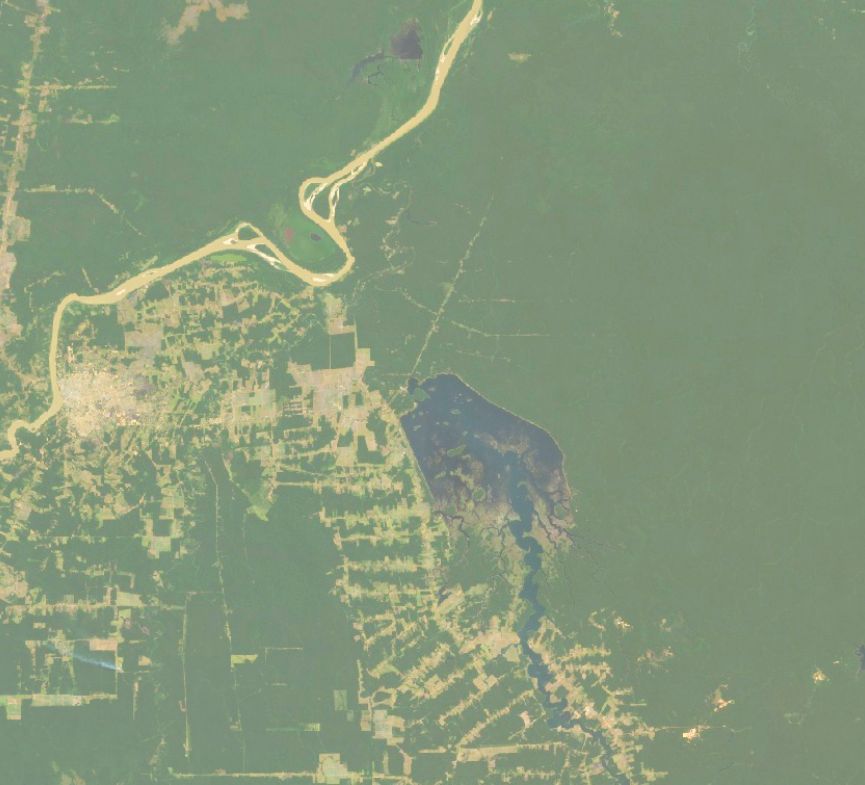 Satellite comparison of forest cover - a slice of the state of Rondônia from 2001 to 2024_.jpg