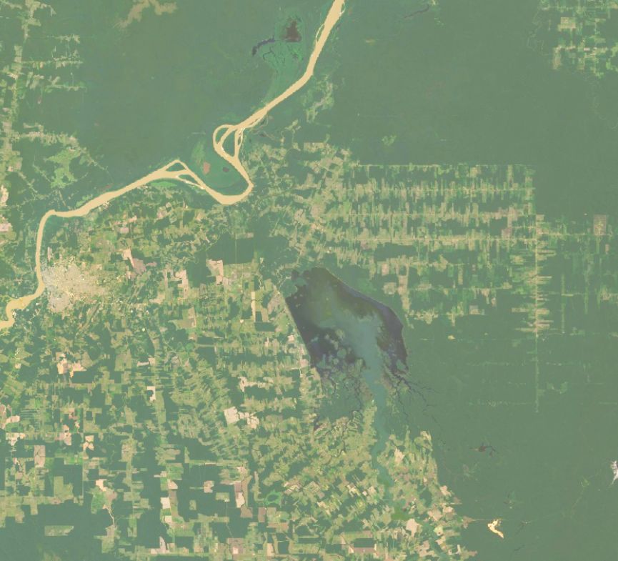 Satellite comparison of forest cover - a slice of the state of Rondônia from 2001 to 2024_2.jpg