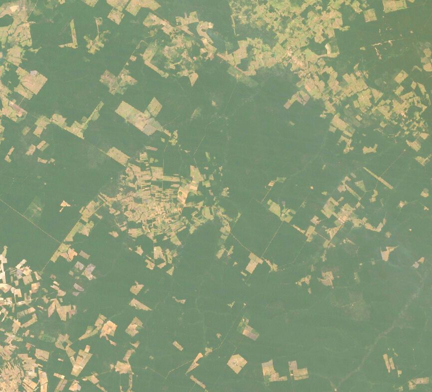 Satellite comparison of forest cover -fragment of Mato Grosso region from 2001-2024_2.jpg