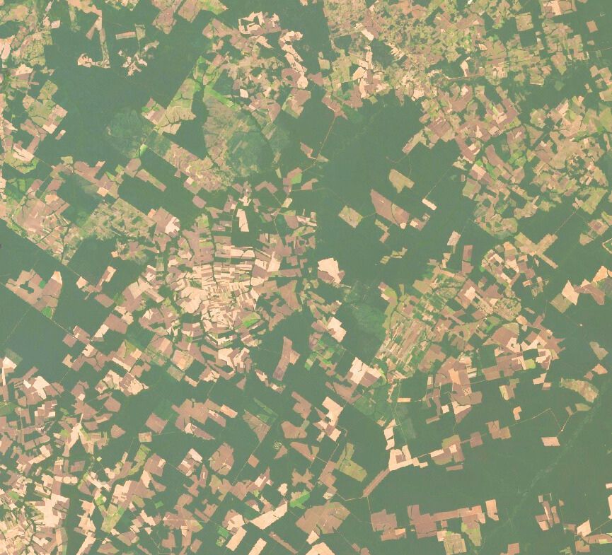 Satellite comparison of forest cover -fragment of Mato Grosso region from 2001-2024_3.jpg